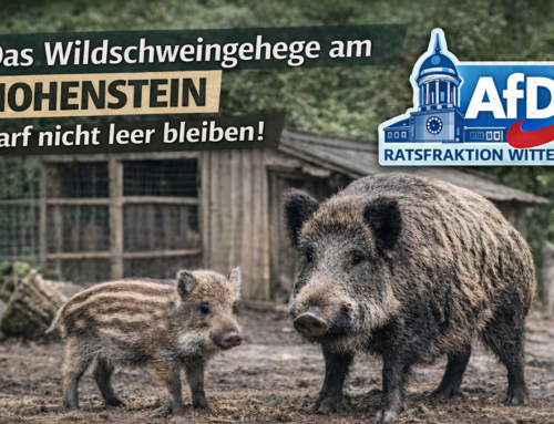 Antrag: AfD fordert langfristigen Erhalt des Wildschweingeheges am Hohenstein!